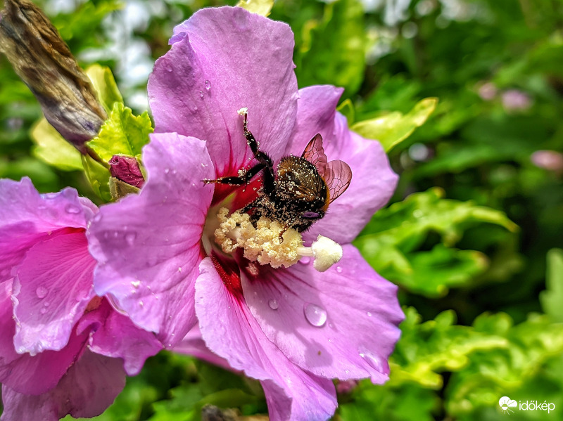 Zápor utáni munkás