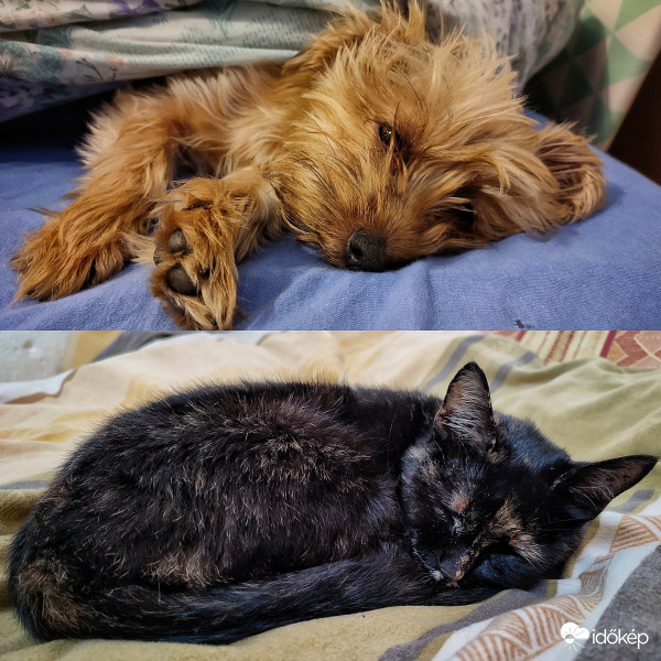 Álmosító idő van