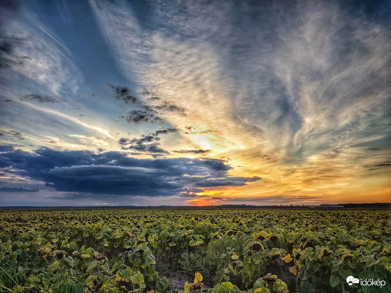 Elvarázsolt naplemente