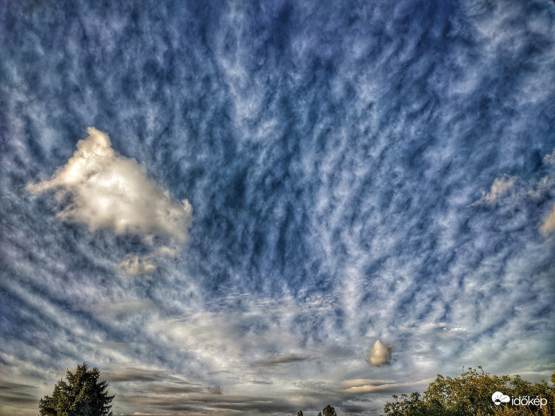 Különleges volt élőben is