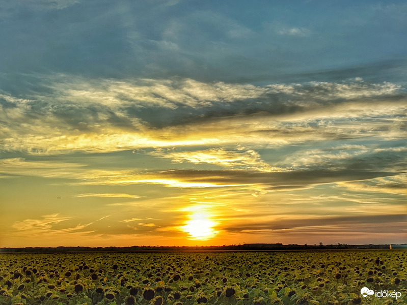 Kezdődő szeptemberi csoda