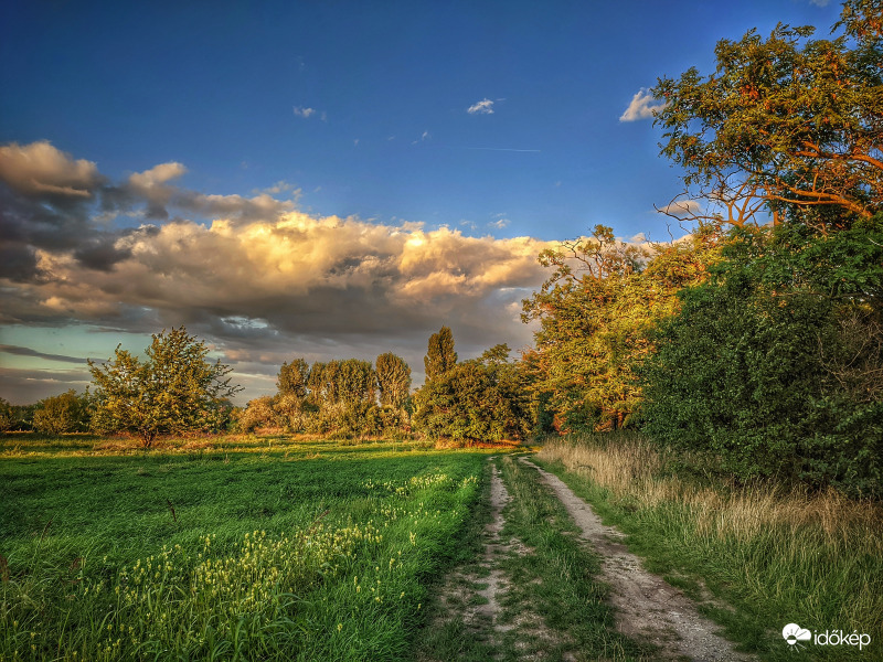 Naplementi fényében