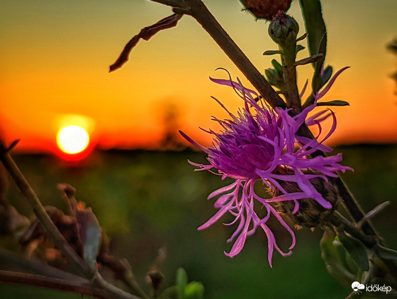 Imolás búcsú a mai naptól