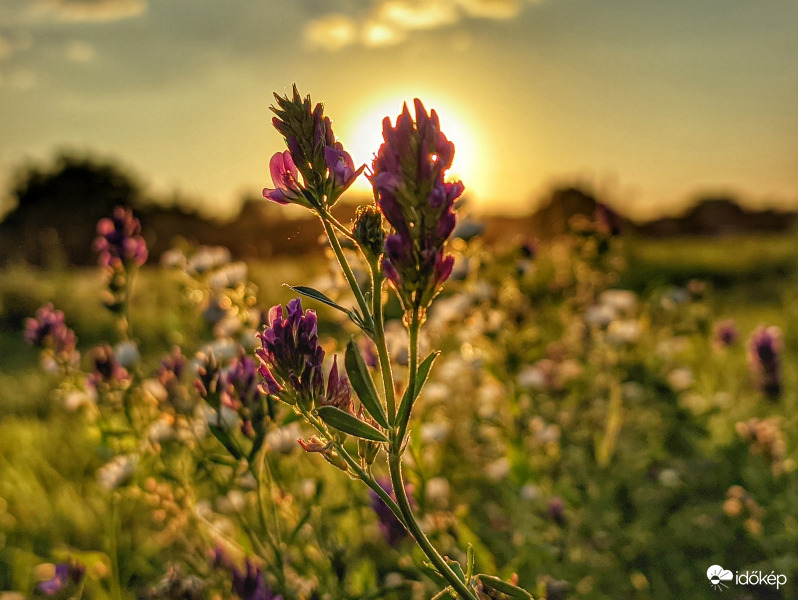 Meleg színű látvány