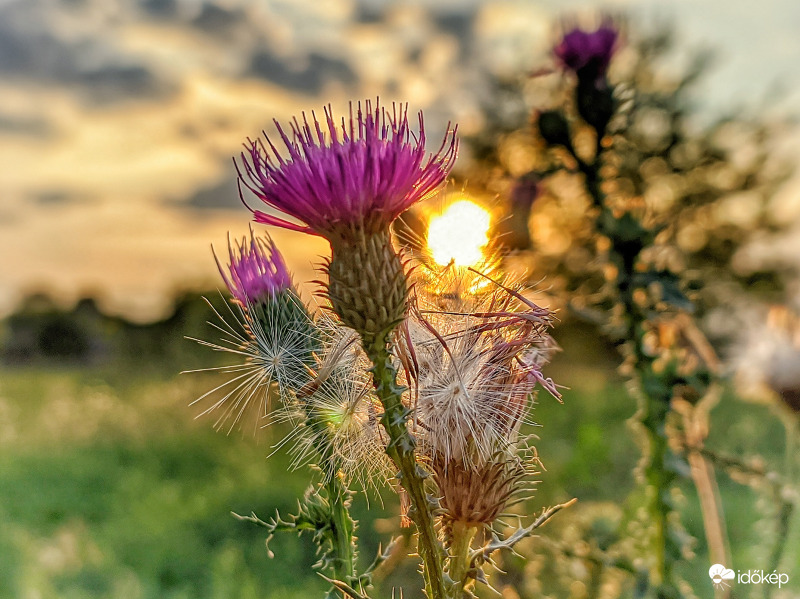 Kellemes őszi alkonyat