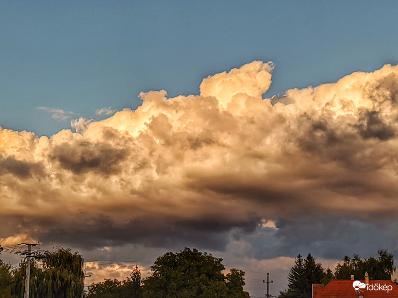 Kifestett "karfiolok"