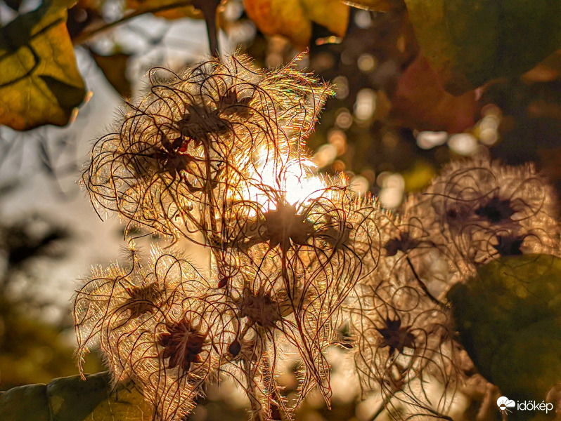 Melengető nap fényében