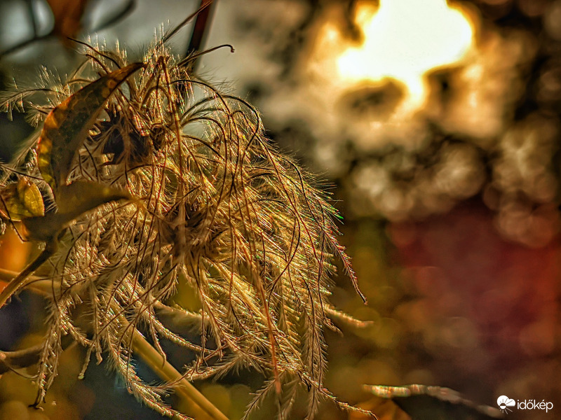 Melengető nap fényében 2.