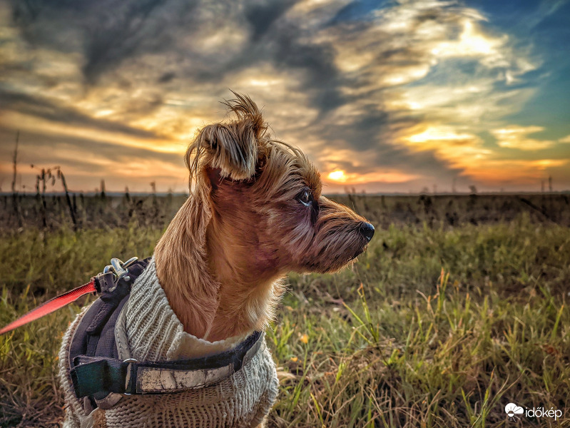 Elkél már a pulóver :)