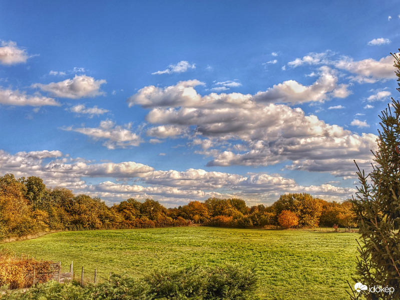 Lapos gomolyos őszi délután