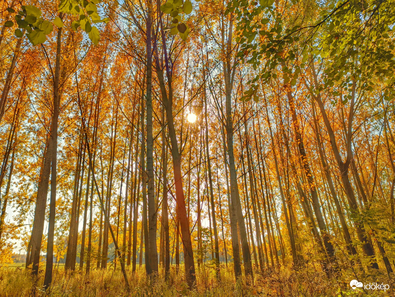 Beférkőző napsütés