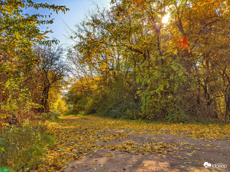 Munkálkodik a szél