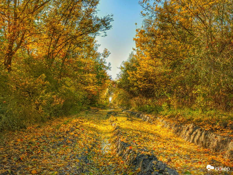 Szeles őszi délután