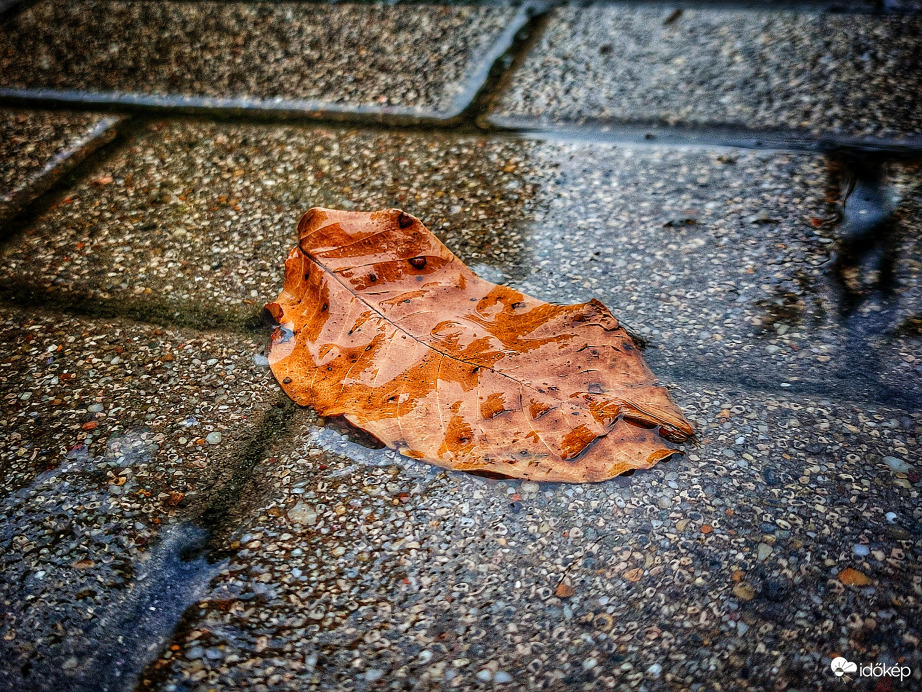 Novemberi eső