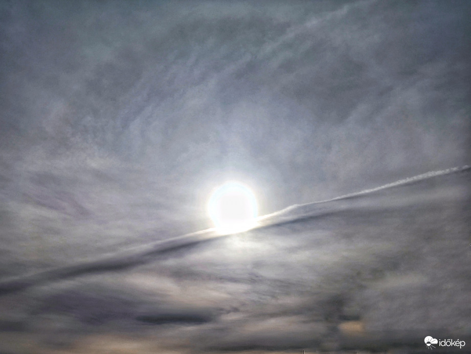 Halvány téli naphaló