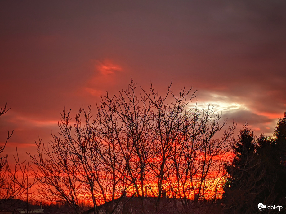 Nyugvás a fák mögött