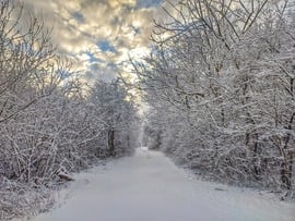 Mulandó érintetlen havas varázslat 2022 januárjában