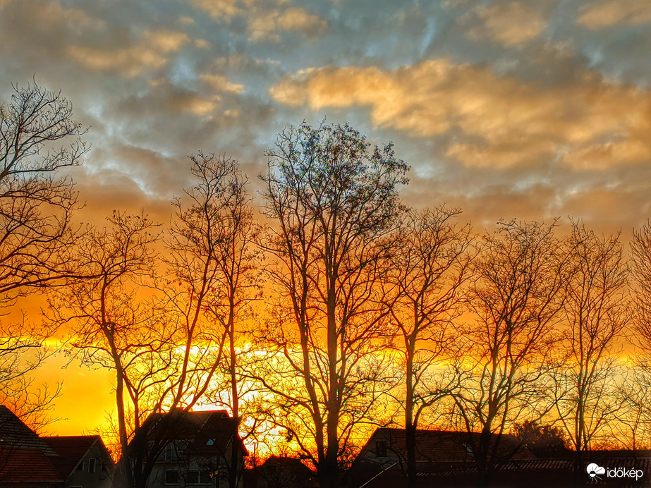 Napfelkelte a fák mögött