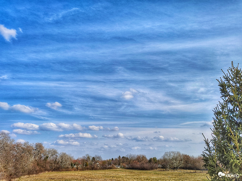Mediterrán fátylak