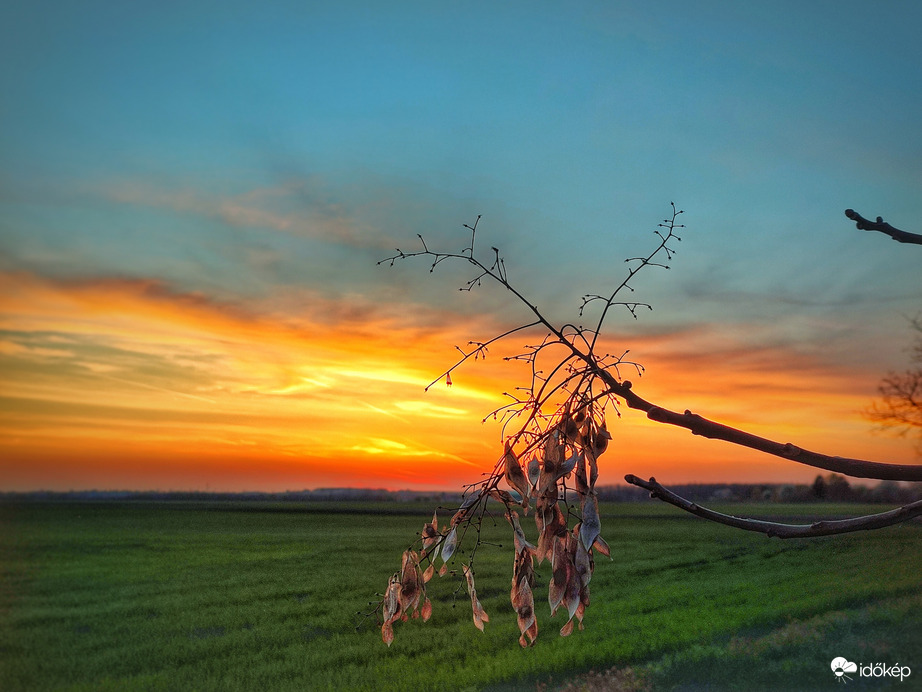 Hangulatos elköszönés