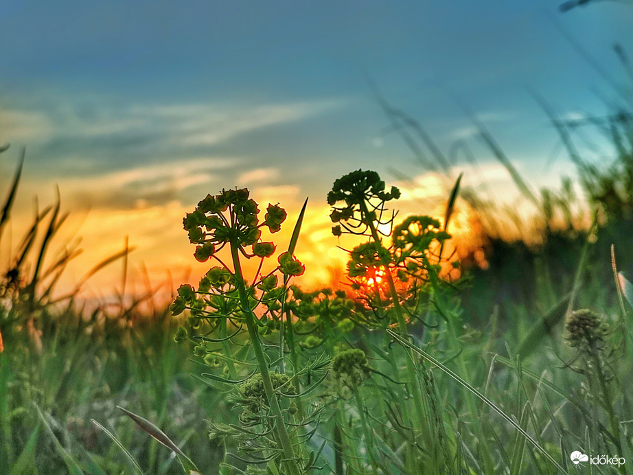 Délutáni napsütés