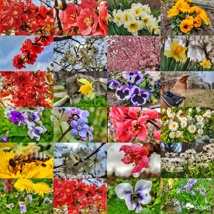 Kellemes húsvéti ünnepeket kívánok!