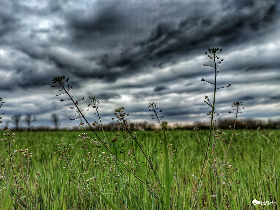 Borongós Nagyszombat 2.