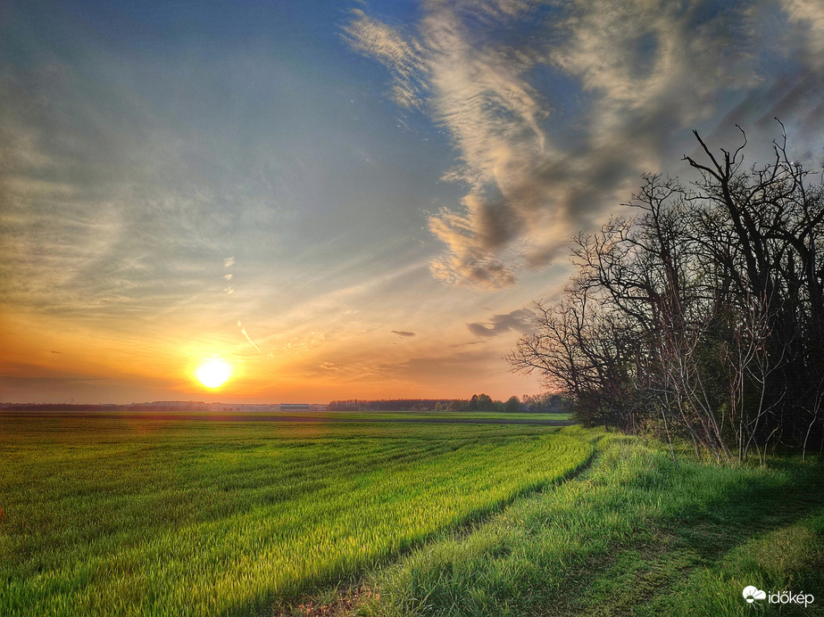 Bekúszó sötétség