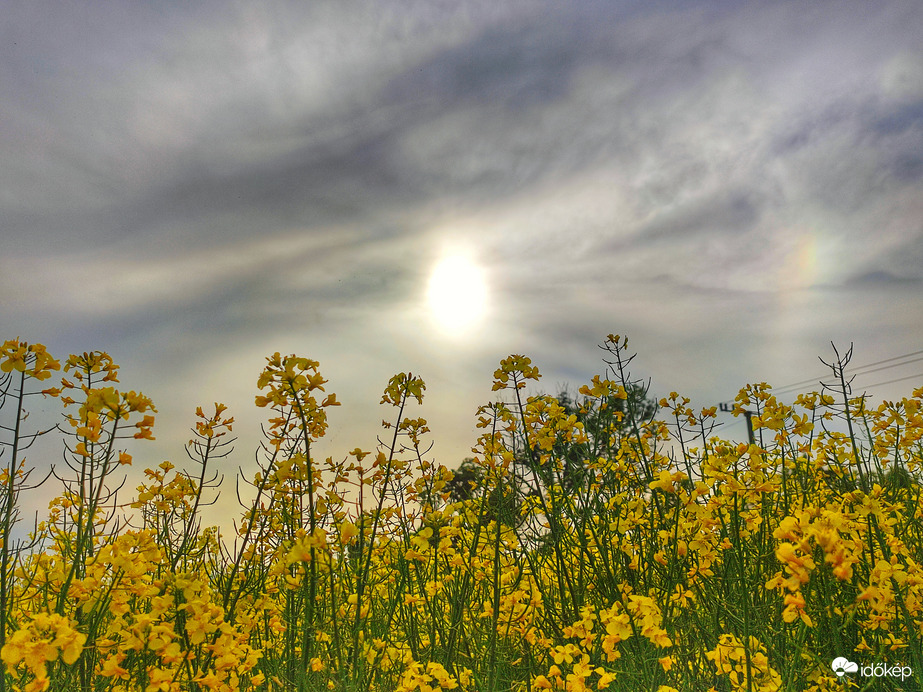 Repcés melléknappal