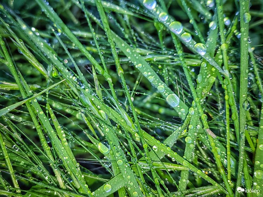 Jól jött már az eső :)