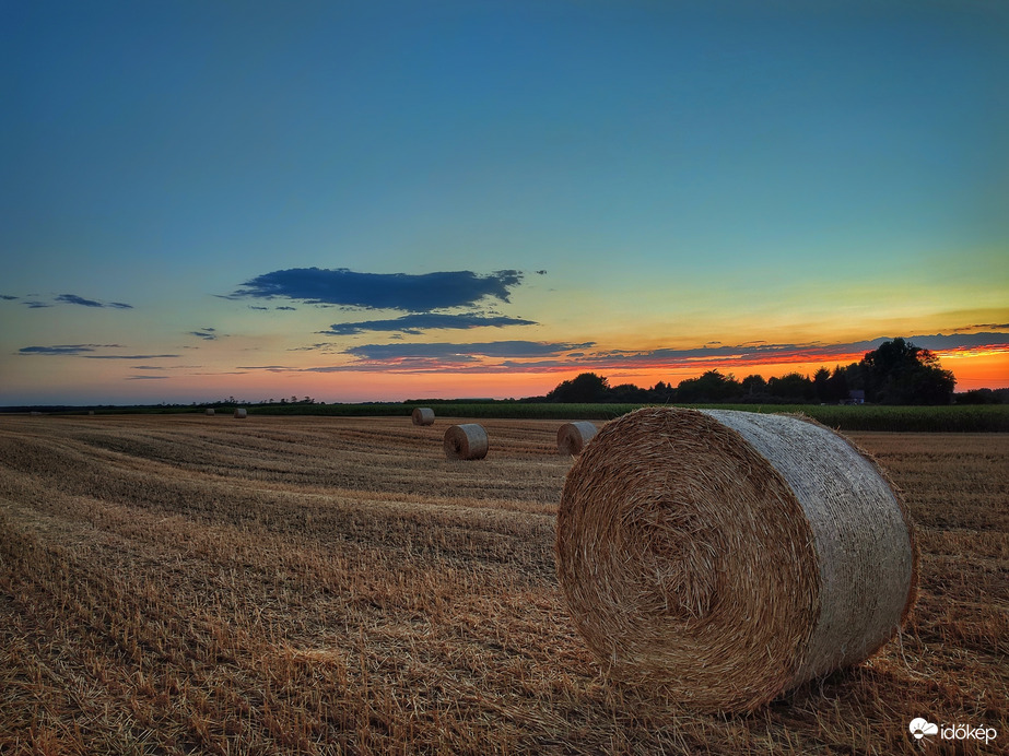 Csend a szántóföldön