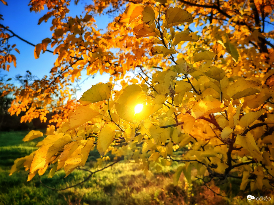 Napfényes ősz