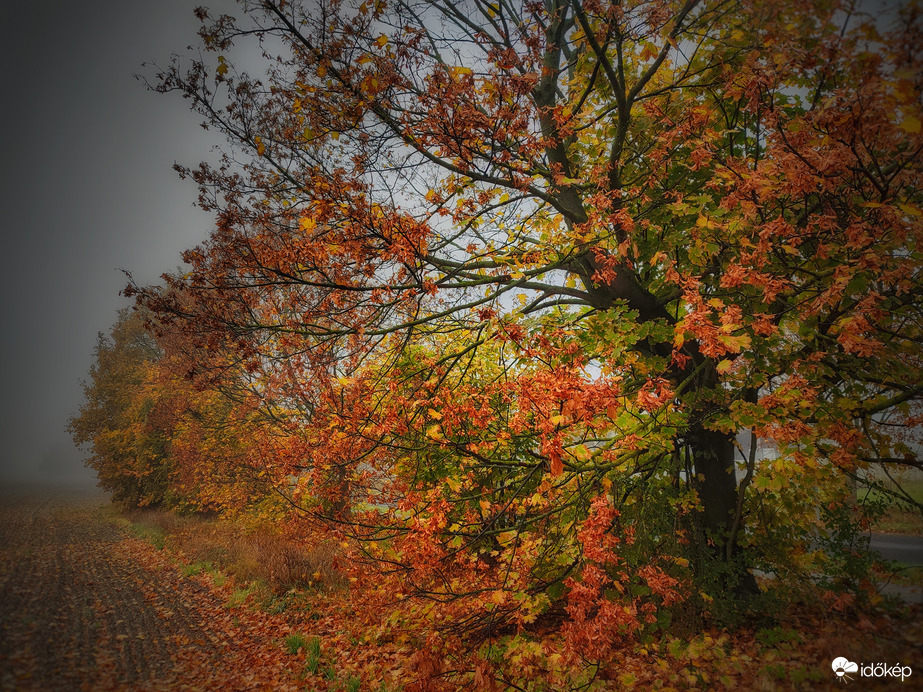 Hamisítatlan reggeli őszi hangulat
