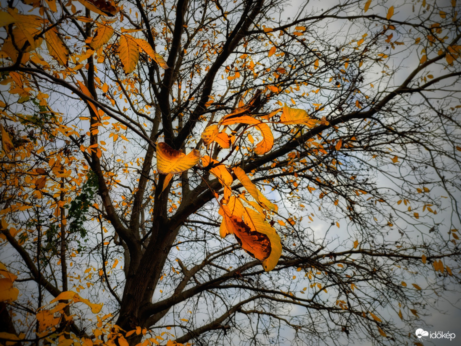 Novemberi állapotban