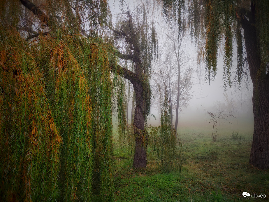 A reggeli köd hangulata