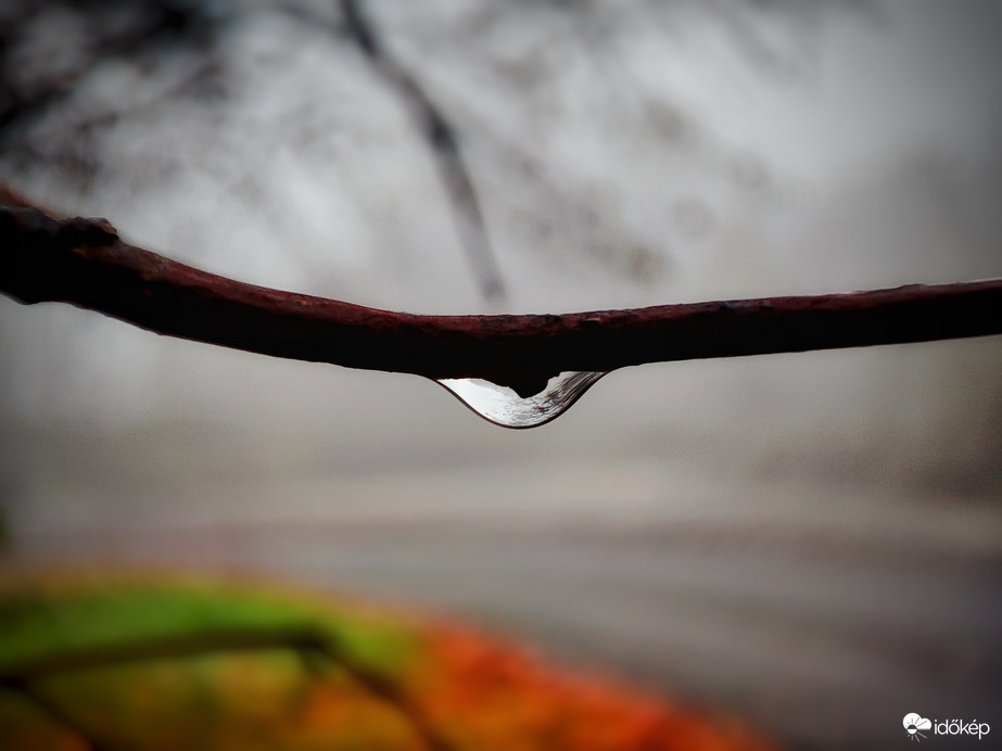Az ősz könnye