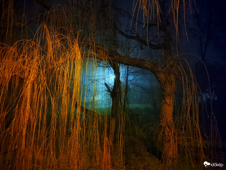 Január esti ködösödés