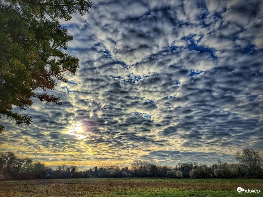 Lassan kiszorítják a napfényt...
