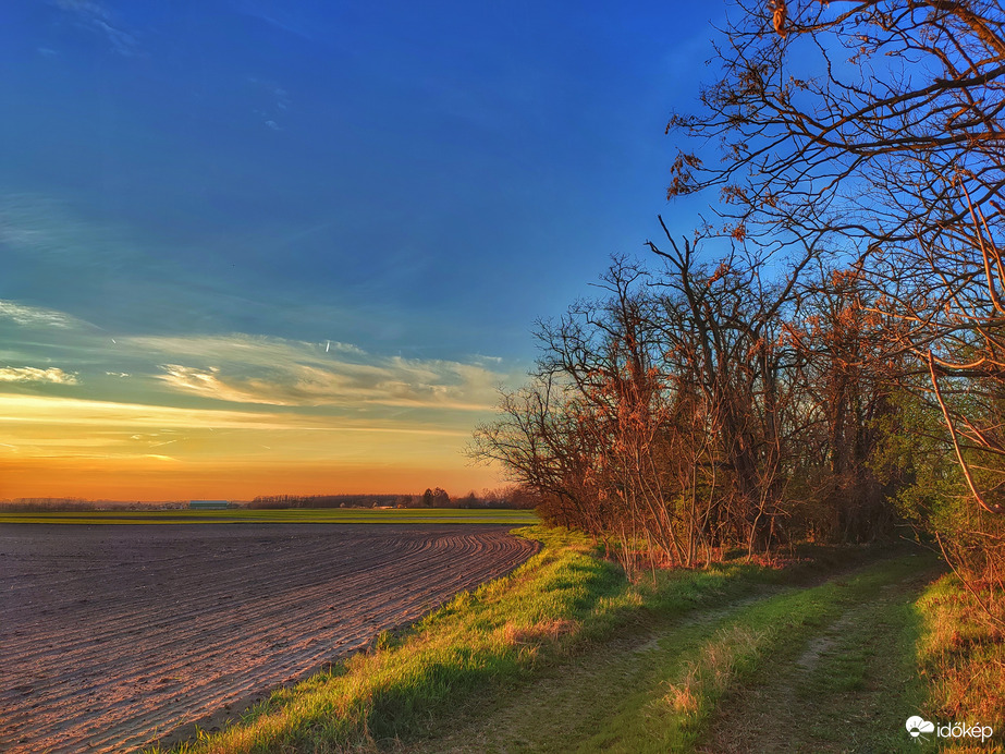 Márciusi napsütésben