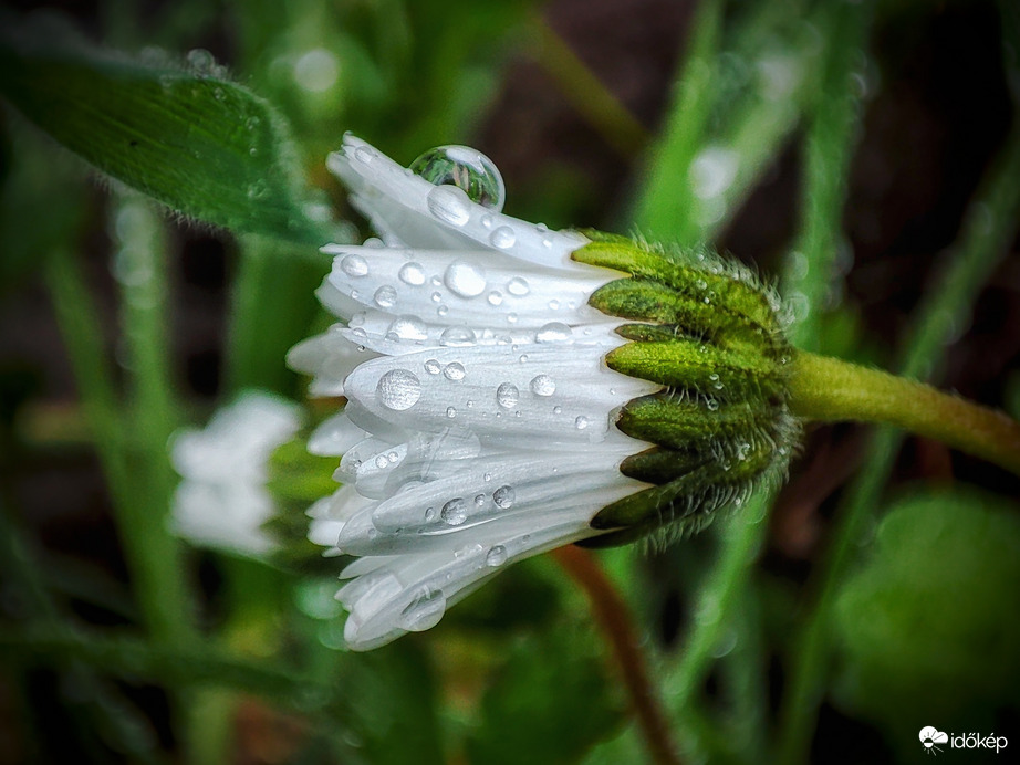 Hangolódás az áprilisi országos esőre