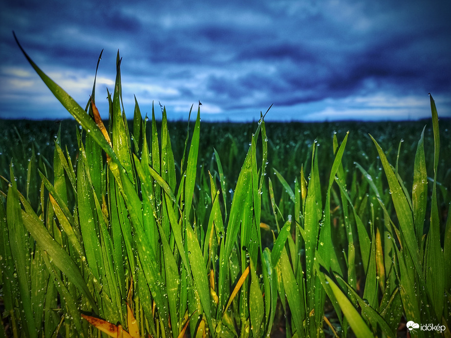 Áprilisi égi áldás