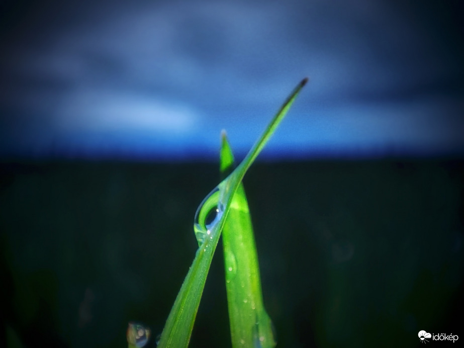 Cseppesen ölelkezők