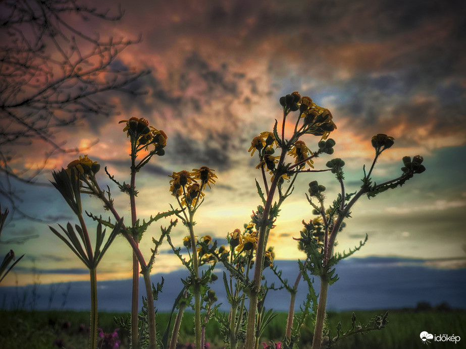 Színekhez nyújtózkodók