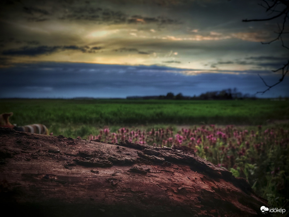 Rétegelt látványvilág