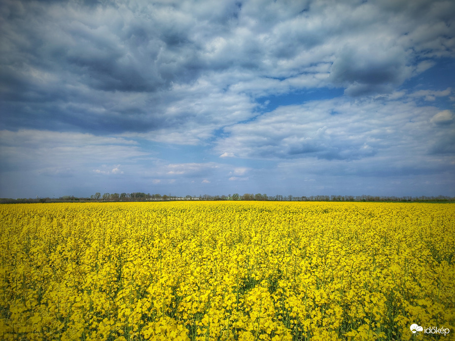 Repcés fotósorozat a Föld napja alkalmából