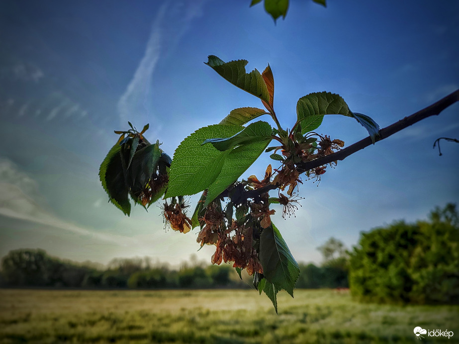 Neki már elege lett a tavaszi zimankóból
