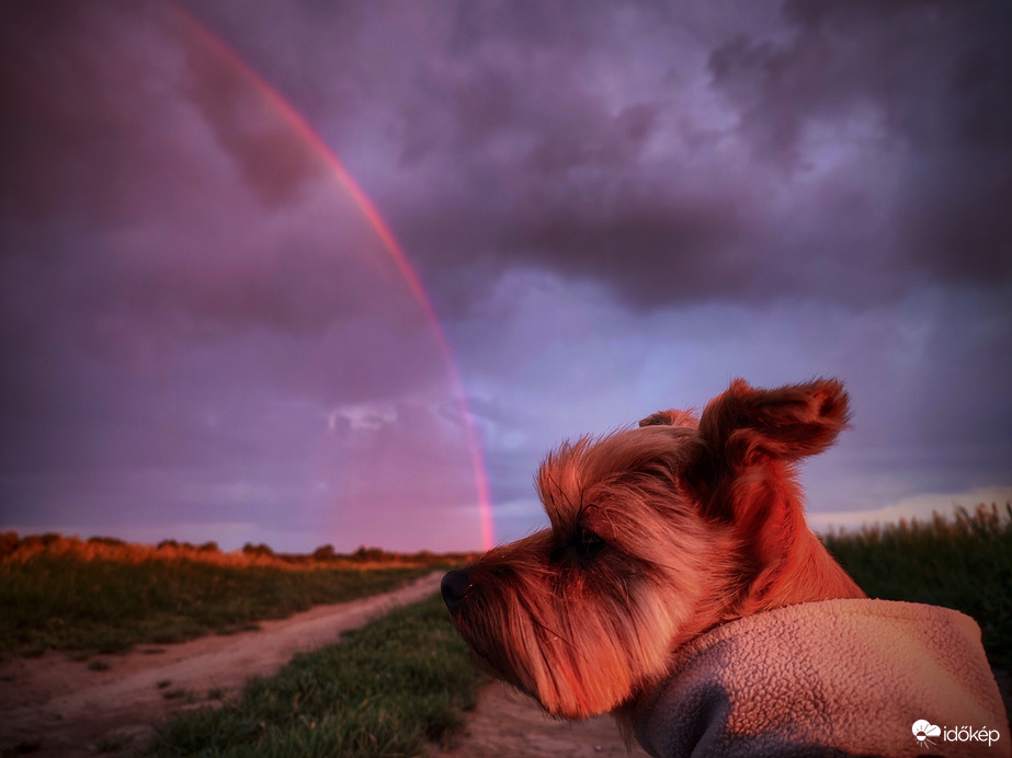 Honnan ered a szivárvány?