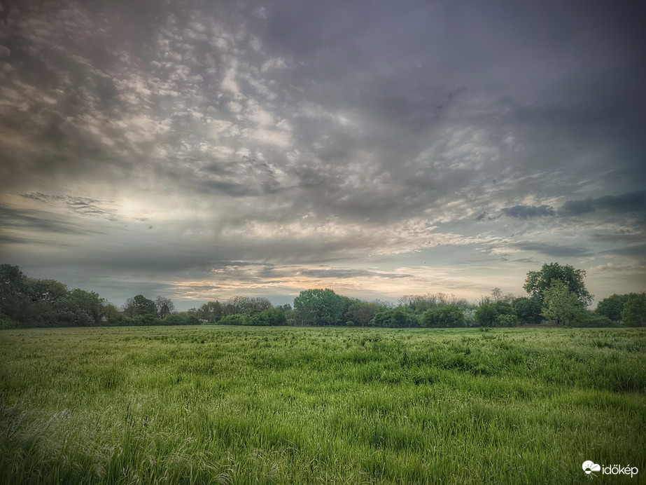 Párás, nyirkos, eső utáni napindító