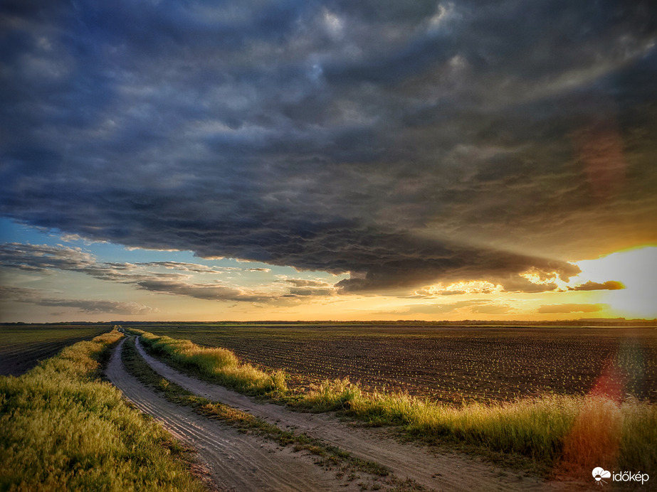 Színek harca egy gomolyos szántóföldön