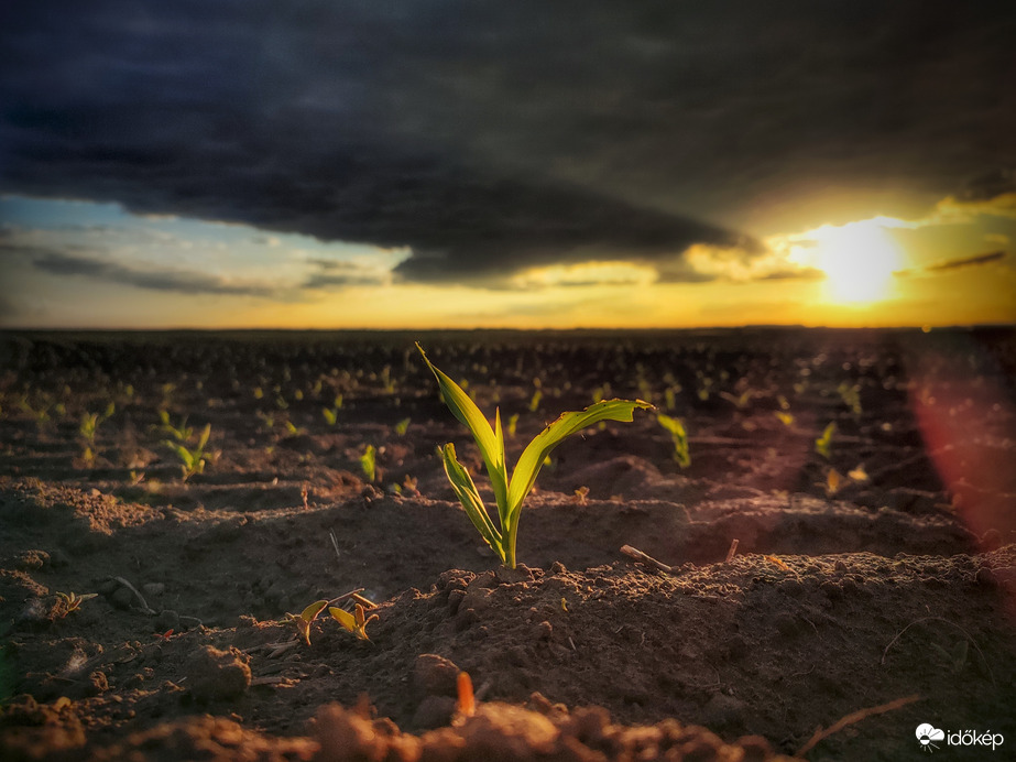 Minden kezdet nehéz